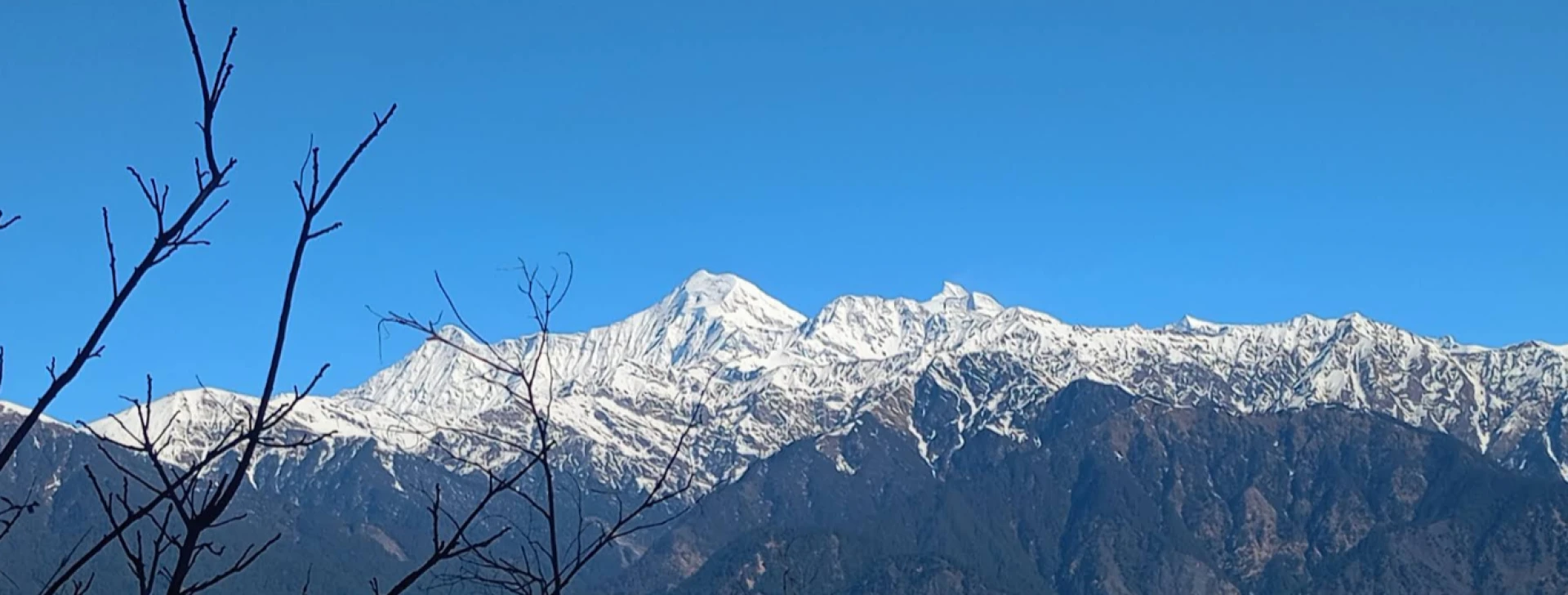 Draft: My Post Title