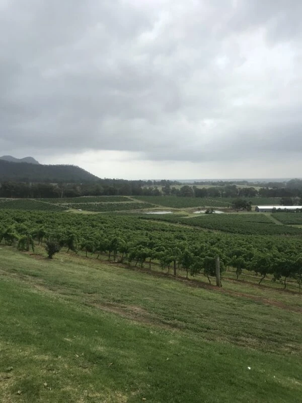 Escape to the Countryside for a Day of Wine and Calm