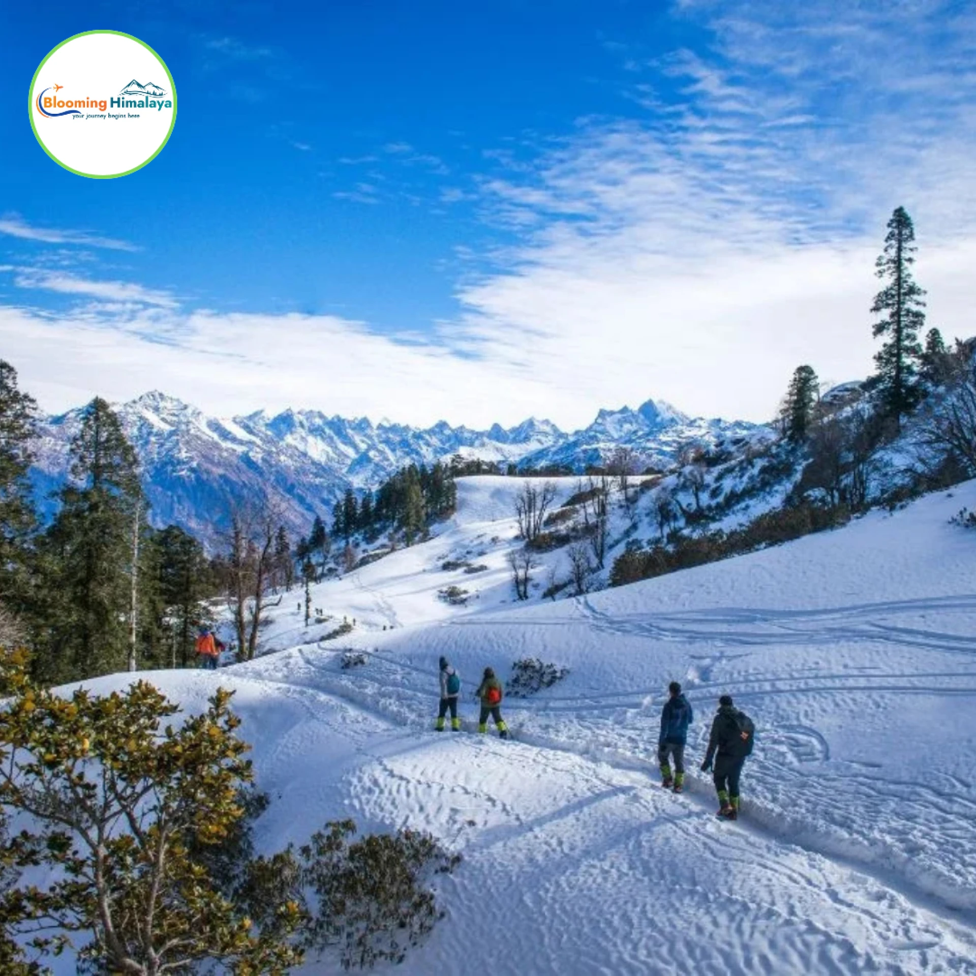 Shimla and Manali: A Romantic Getaway of Palaces, Forests & Cozy Stays