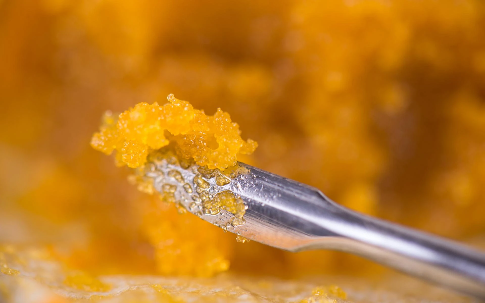 Discover Potency with Live Resin Carts – Premium Quality