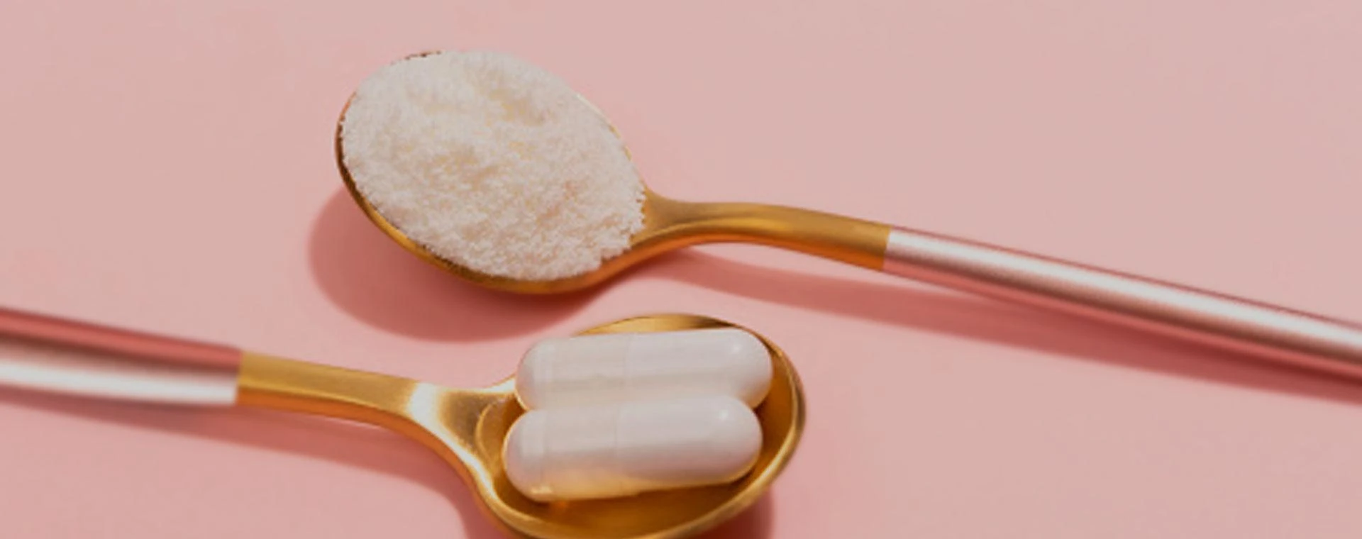 BULK COLLAGEN PEPTIDES WHOLESALE