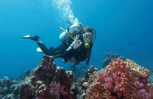 Your Dive Journey in DFW: From Scuba Lessons Fort Worth to the PADI Divemaster Course