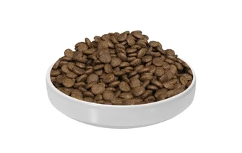 Wholesale Dry Dog Food in Bulk