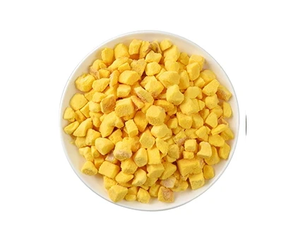 How to Choose the Best Private Label Freeze-Dried Dog Treats for Your Pet