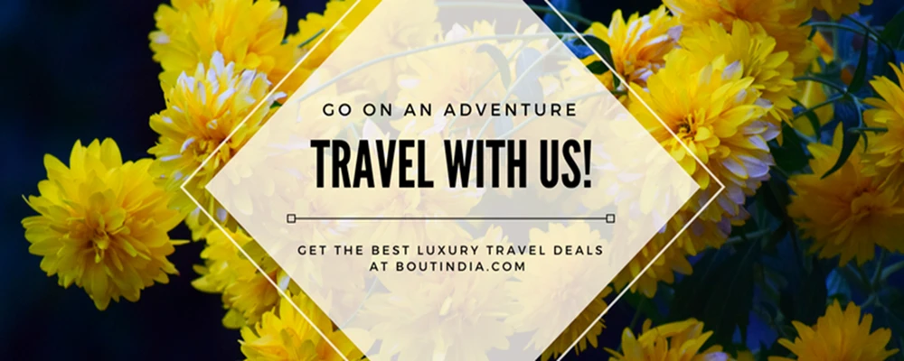 Bout India – Your Trusted Luxury Travel Partner for Authentic Indian Experiences