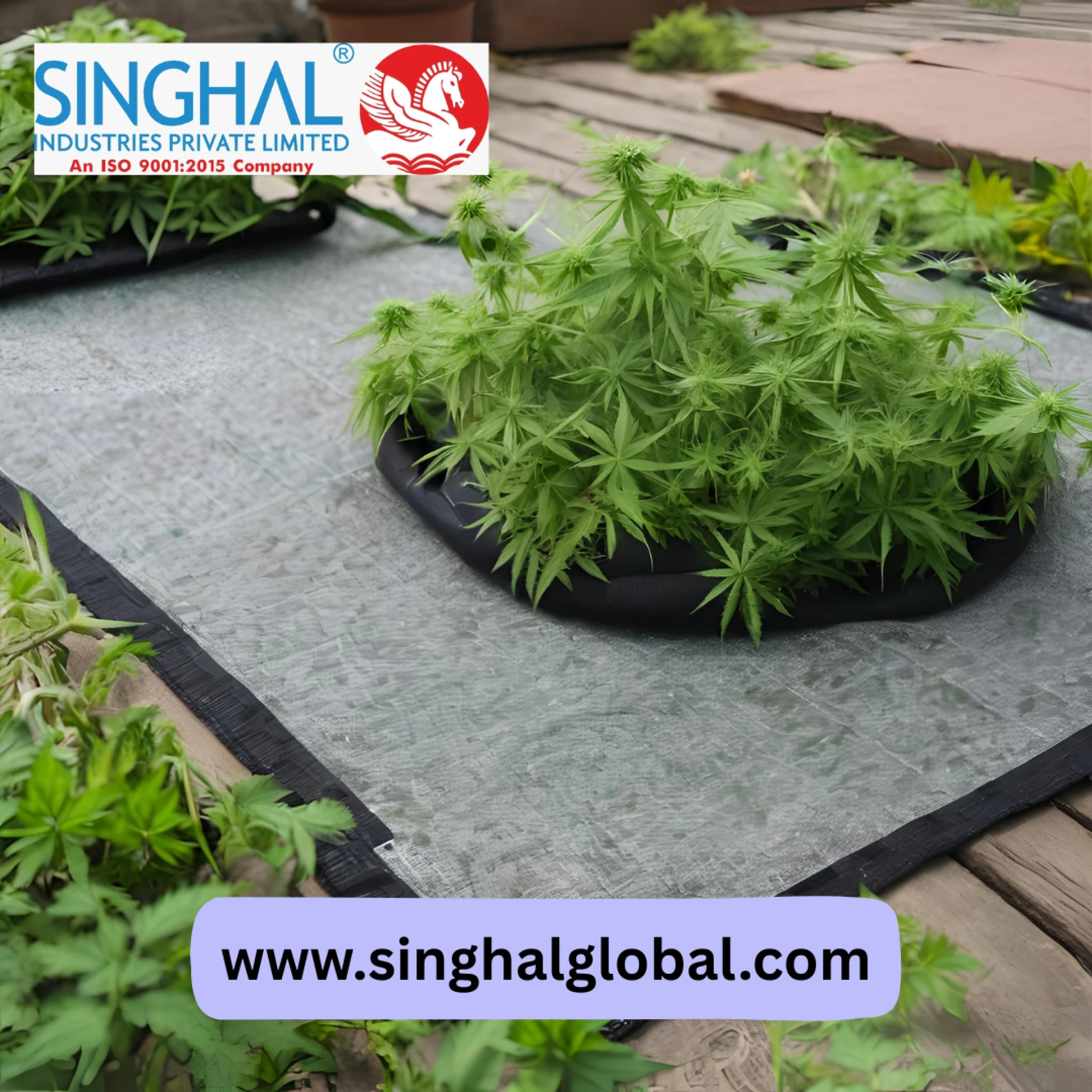 Weed Mat: The Ultimate Answer to Unwanted Weeds