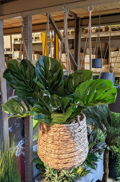 Wiszące doniczki – stylowy sposób na więcej zieleni w każdej przestrzeni