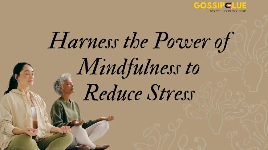 Can Anti-Stress Supplements Replace Therapy? Experts Weigh In