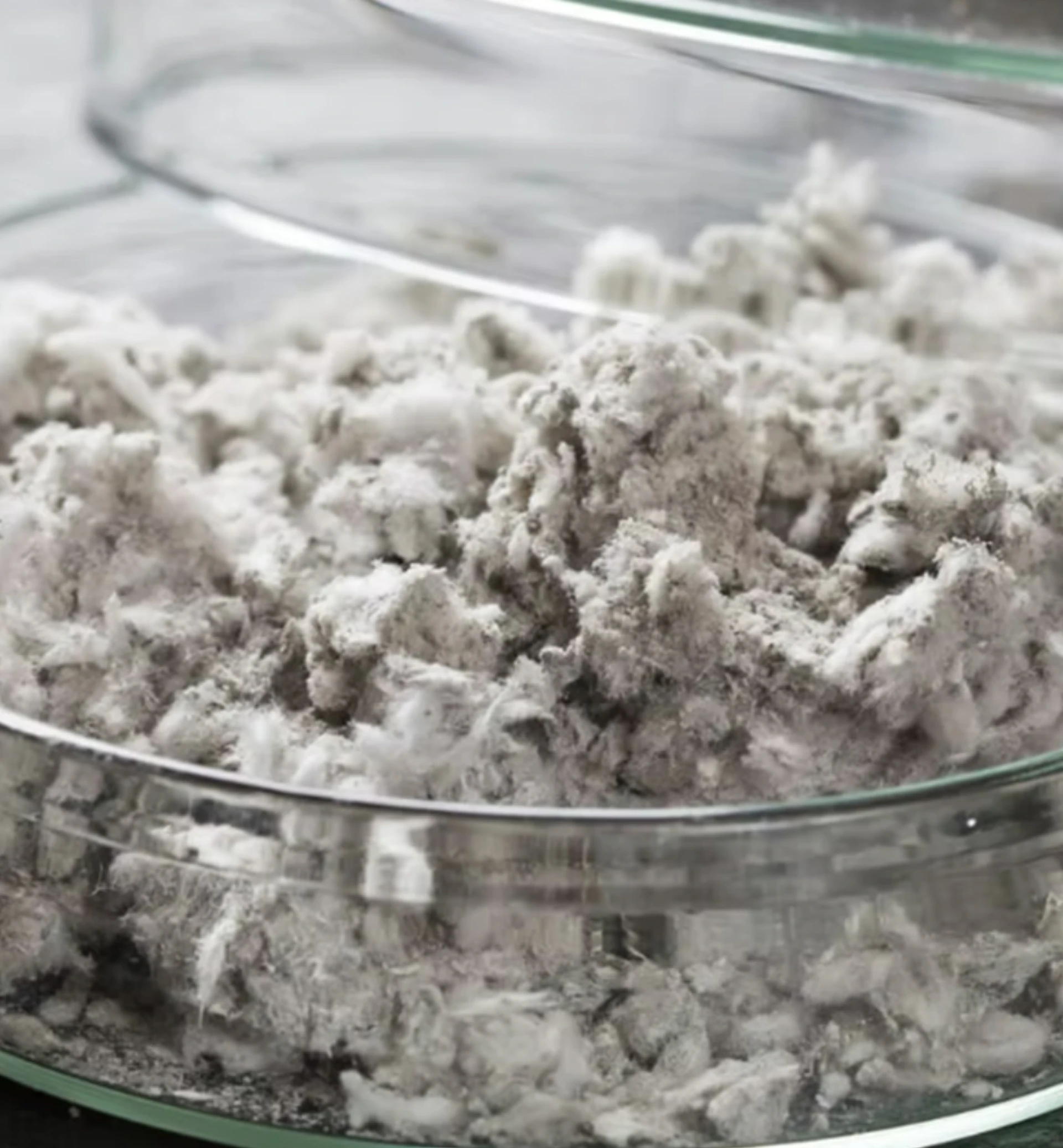 Key Factors to Consider When Planning an Asbestos Testing