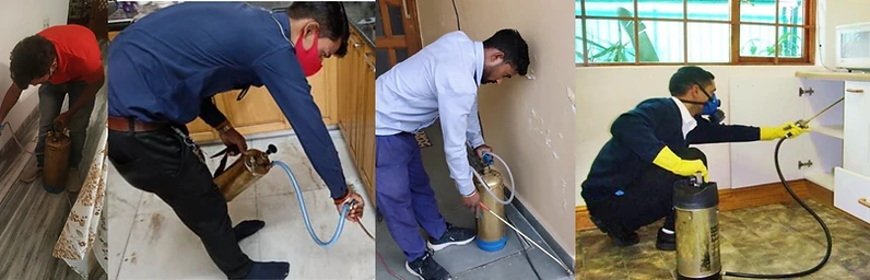 Seasonal Pest Control in Mohali: Preparing Your Home for Every Season's Challenges
