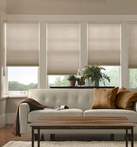Blindsgalore: Premium Shades and Blinds for Every Home and Office