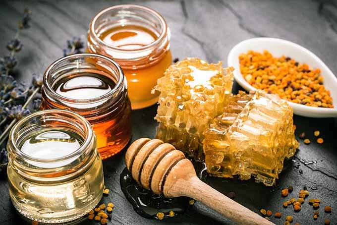 Best Pure Honey in Ambala | Organic Fresh India
