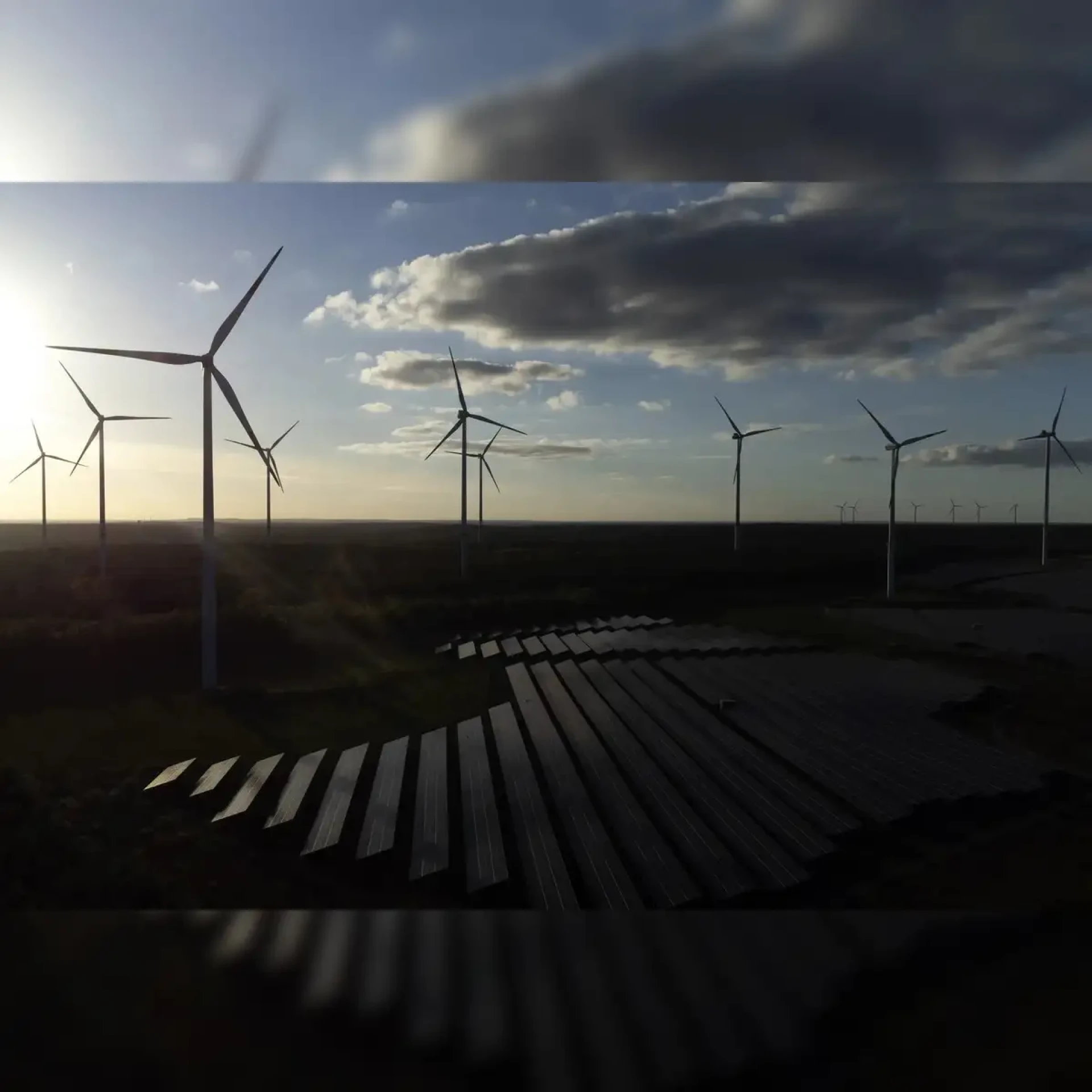 Green Growth: Cashing in on Saudi Arabia’s Renewable Energy Boom