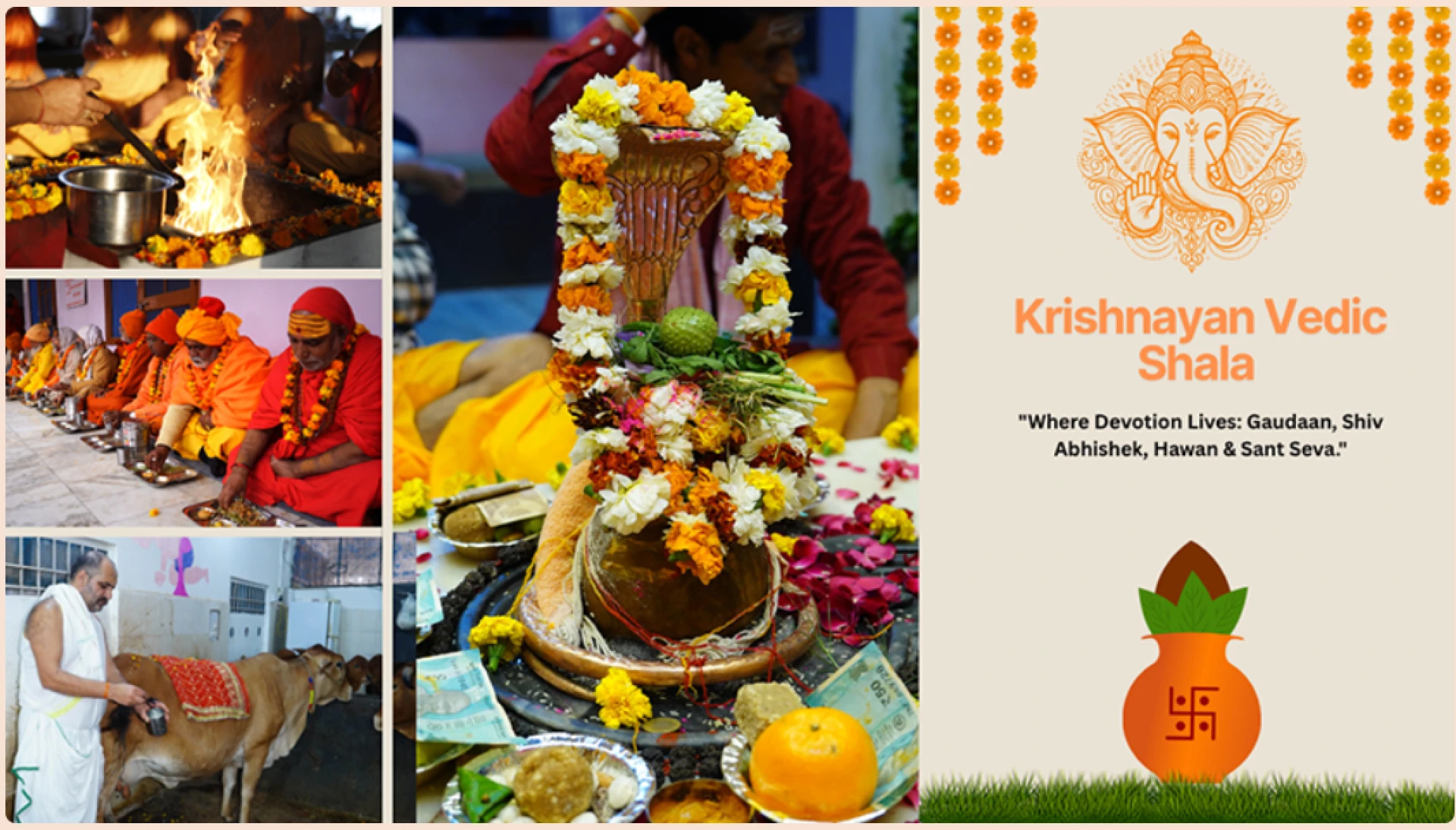 Celebrating Life Through Seva: The Transformative Events of Shree Krishnayan Sewa Foundation