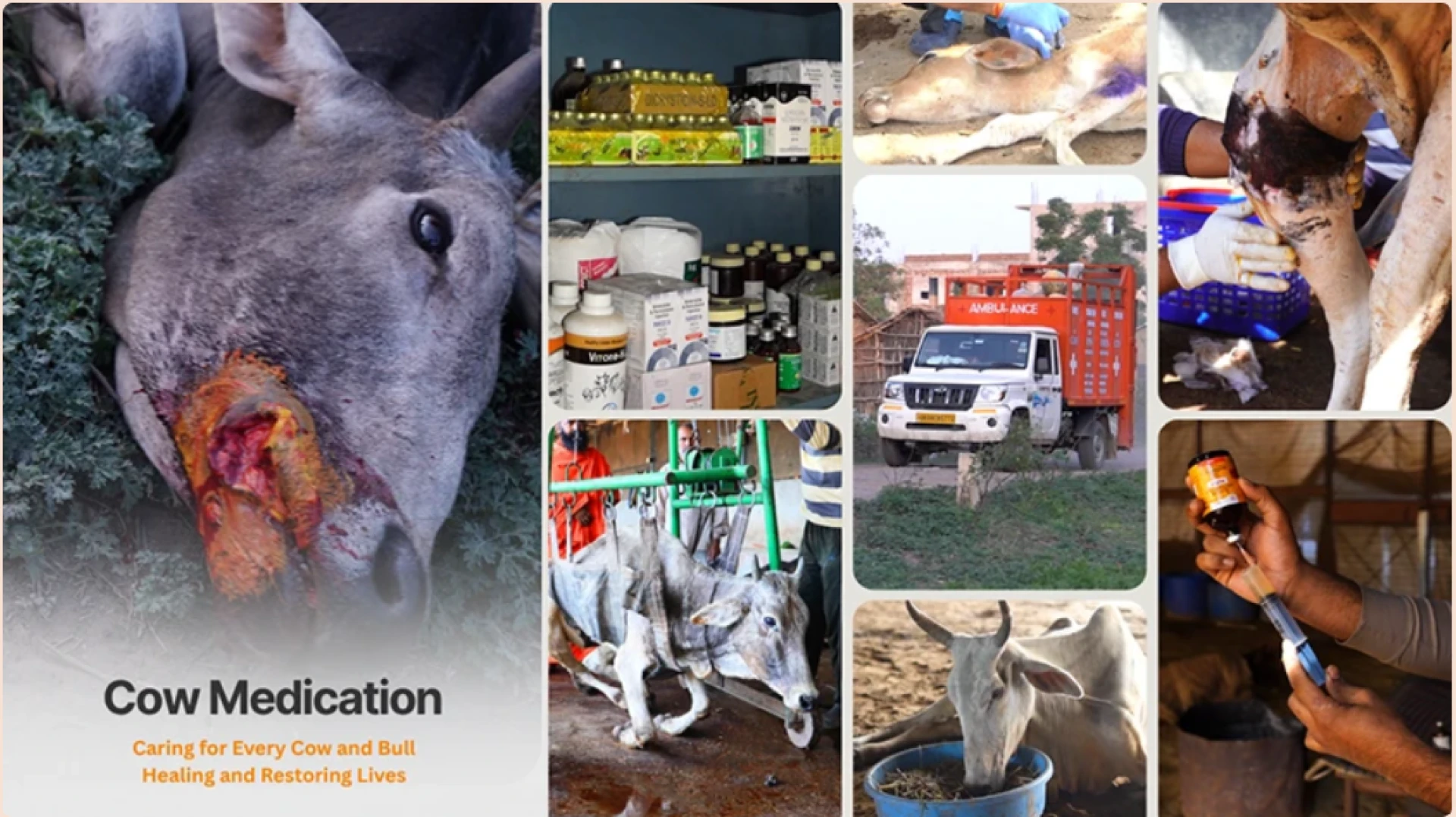 Healing with Compassion: Medical Care at Shree Krishnayan Sewa Foundation