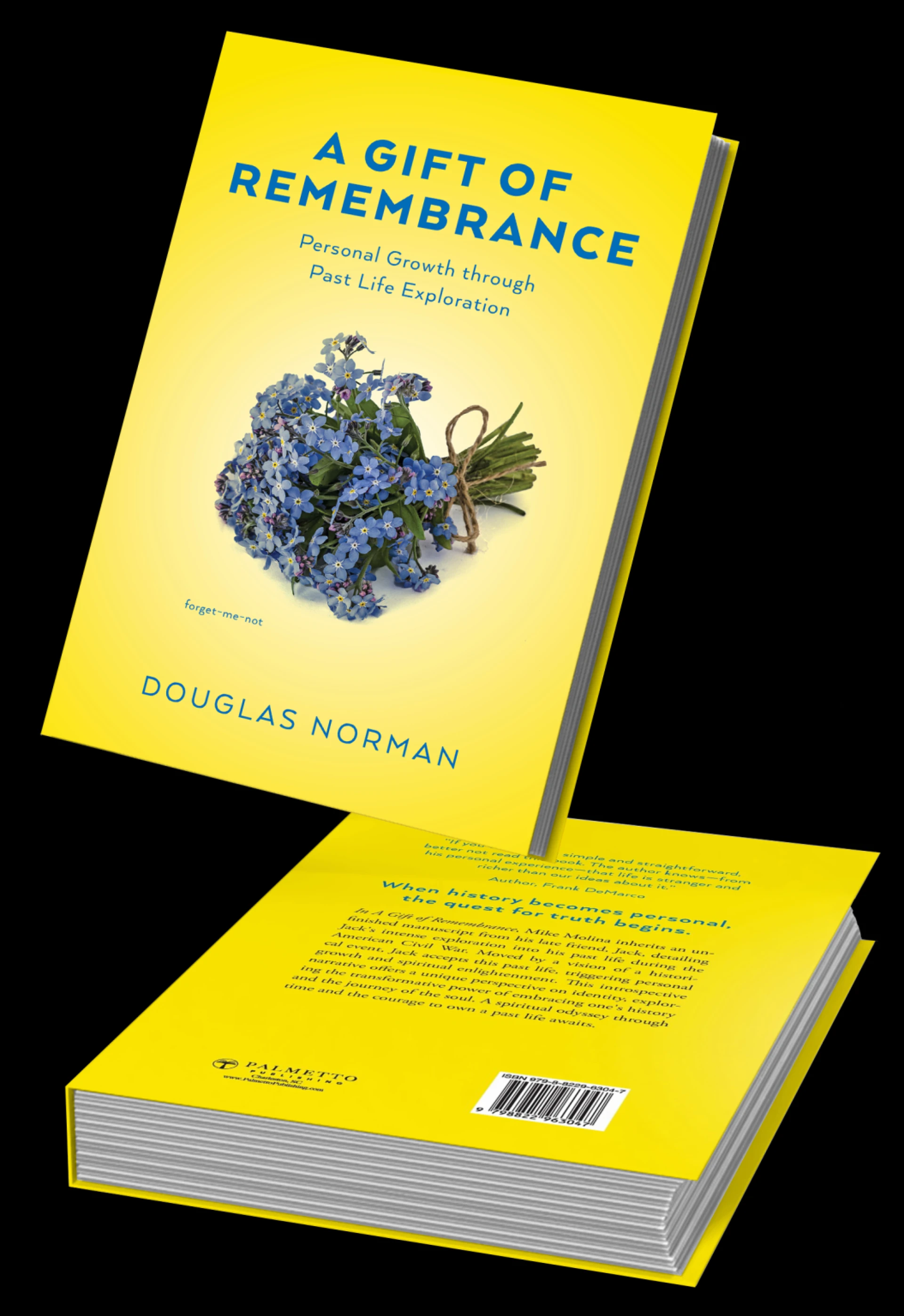 What Is It About Reincarnation Memoir Books That Keeps Us Hooked?