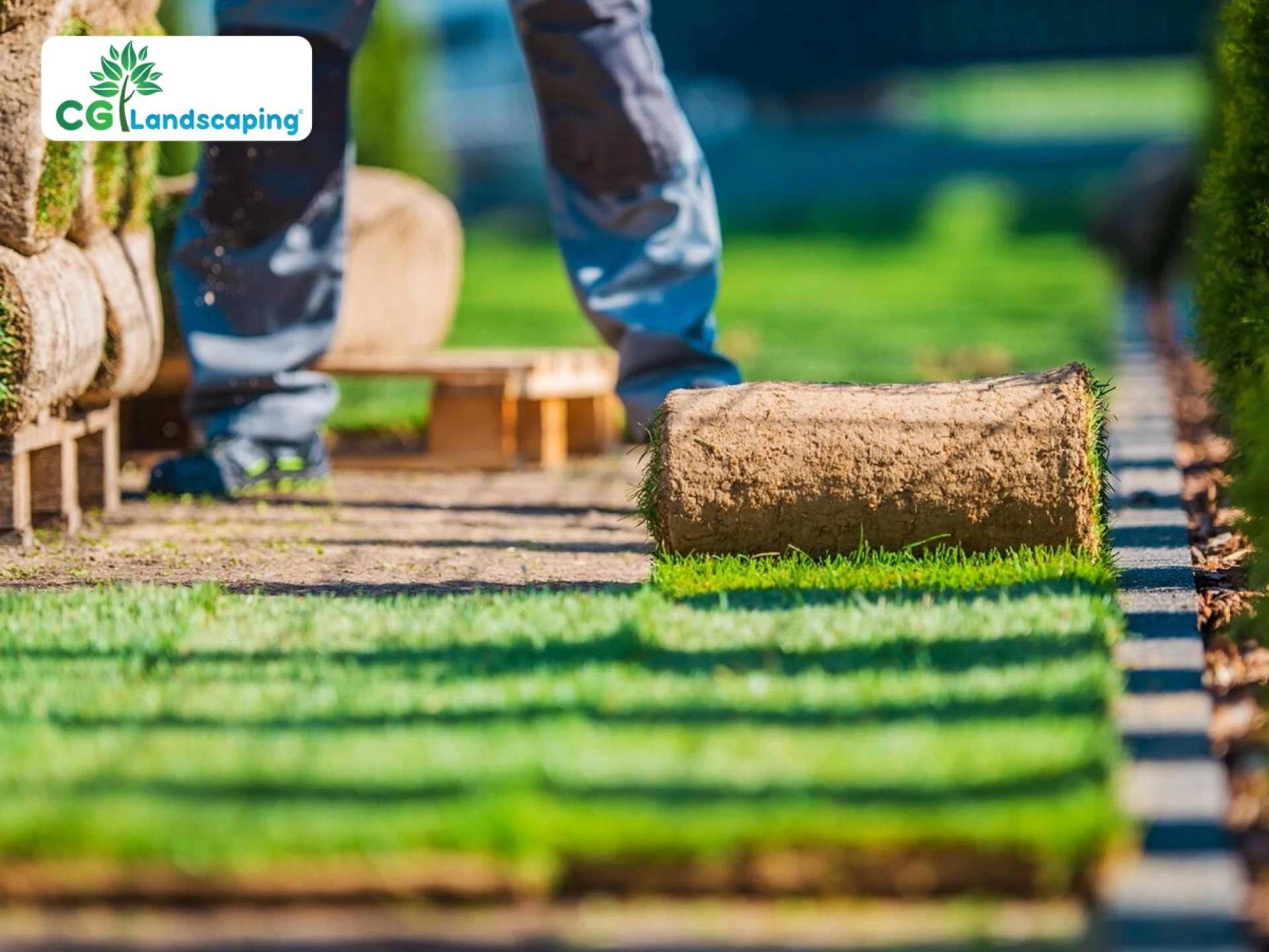 Why You Should Hire a Professional Landscaper This Summer?