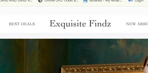 Exquisite findz: where style finds its symphony in online shopping