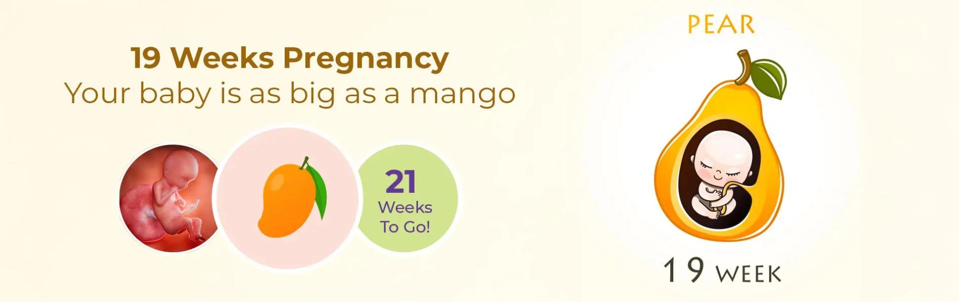 19 Weeks Pregnant: What to Expect & How Your Baby is Growing