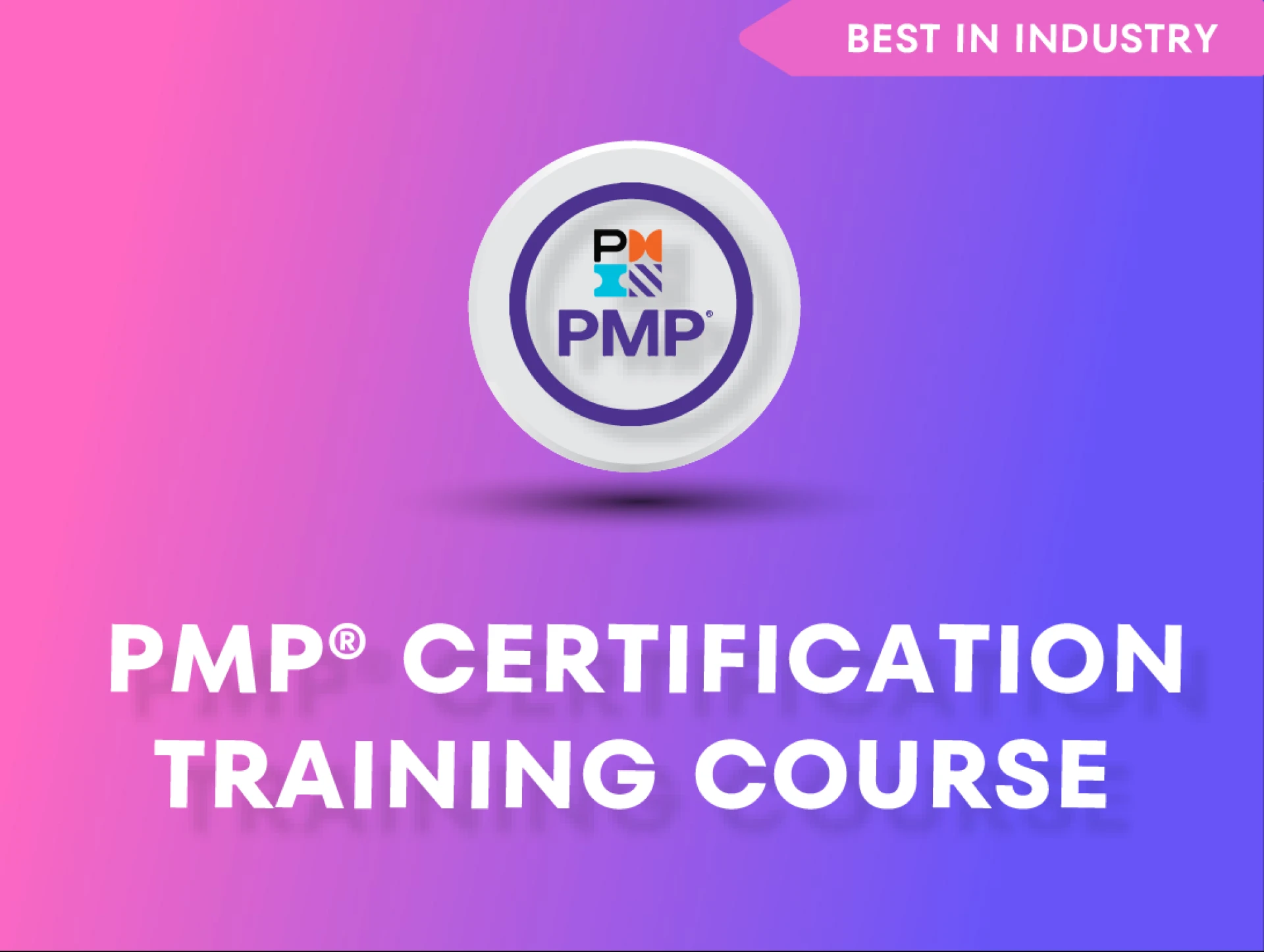 PMP Training in Houston: Your Gateway to Project Management Excellence