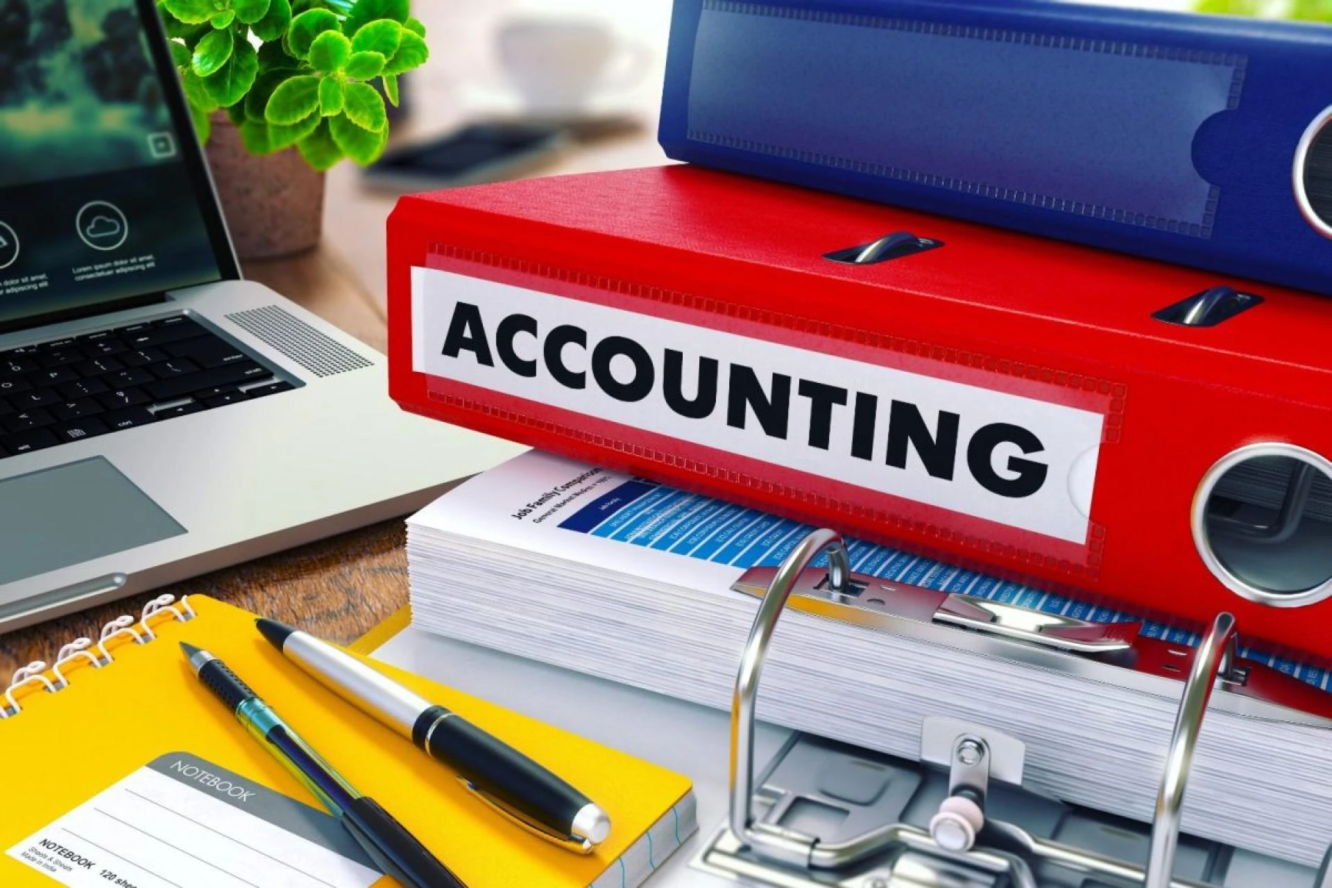 Outsourced Bookkeeping and Accounting Providers: A Rapidly Growing Pattern