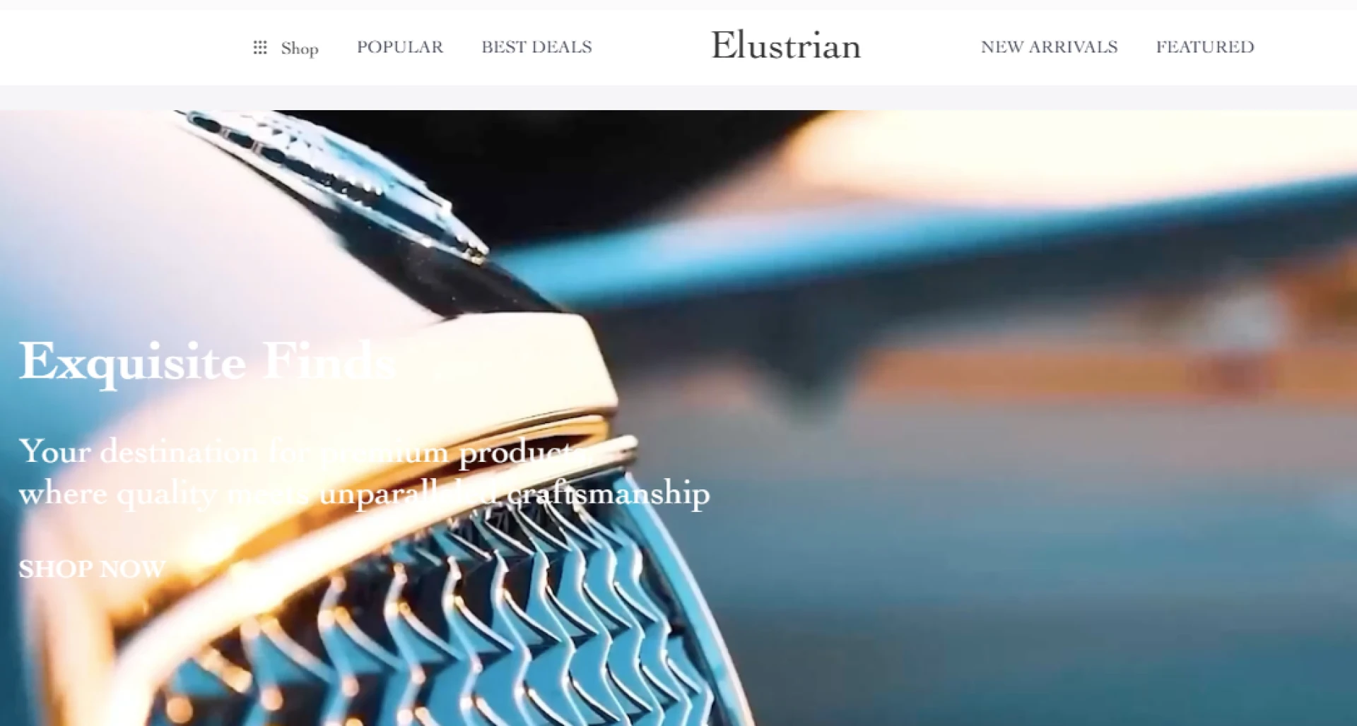 Opulent Online Shopping Sees A New Dawns In Elustrian