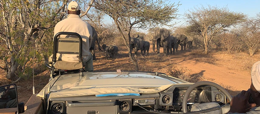 Discover the Edge of the World: Why a Patagonia Tour Should Be Your Next Great Adventure