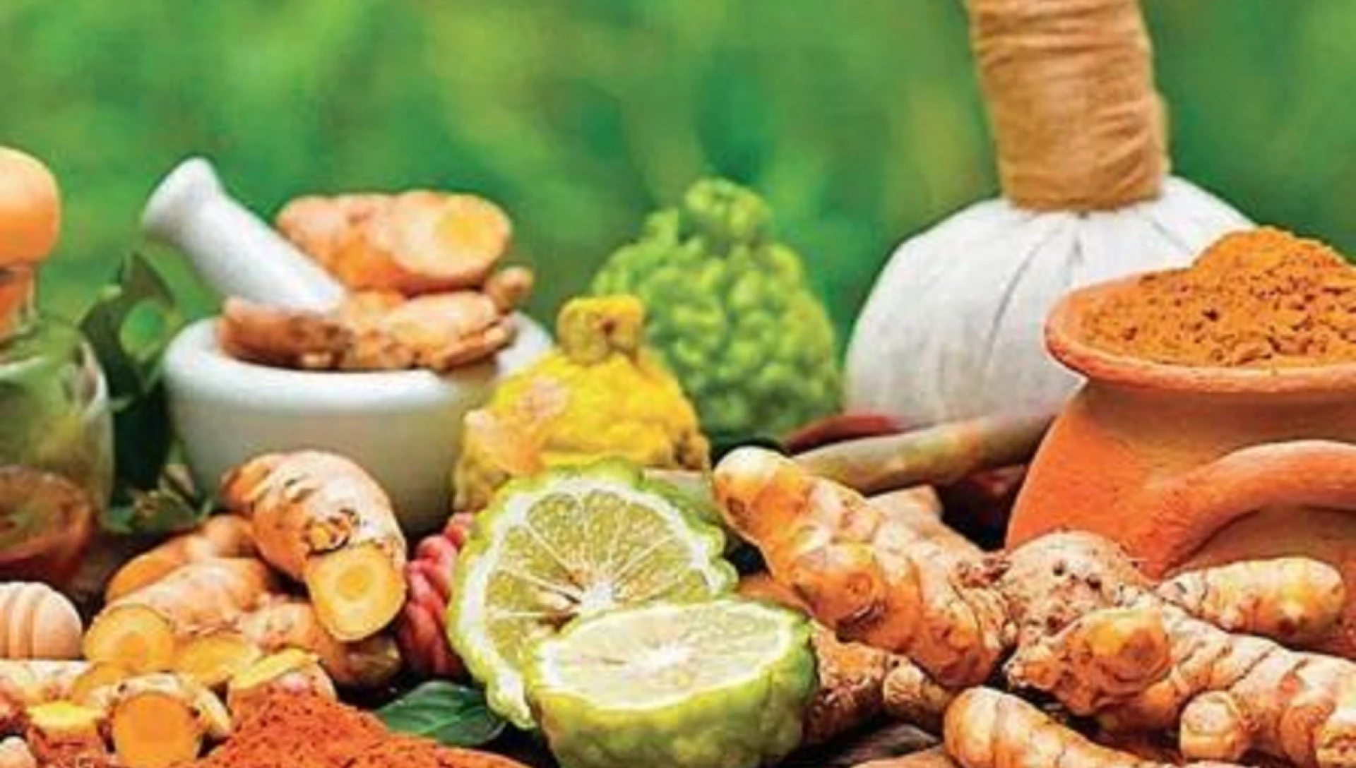 Best Ayurvedic Herbal Products for Natural Healing