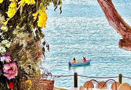 Discover Luxury and Tranquility at Blue Water Patio Suites in Mexico