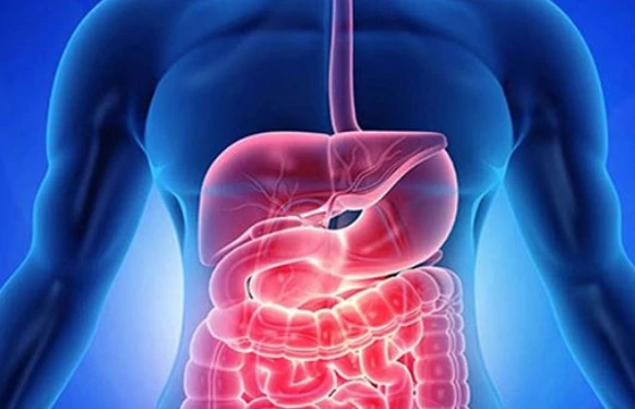 Cost of Common Procedures at the Best Gastro and Liver Hospital in Lucknow