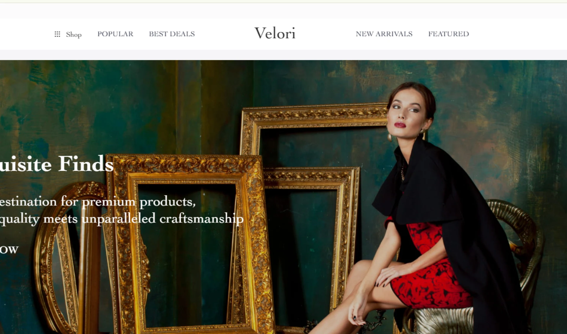  Velori Sets New Standards in Online Shopping with a Stunning Showcase of Premium Arrivals