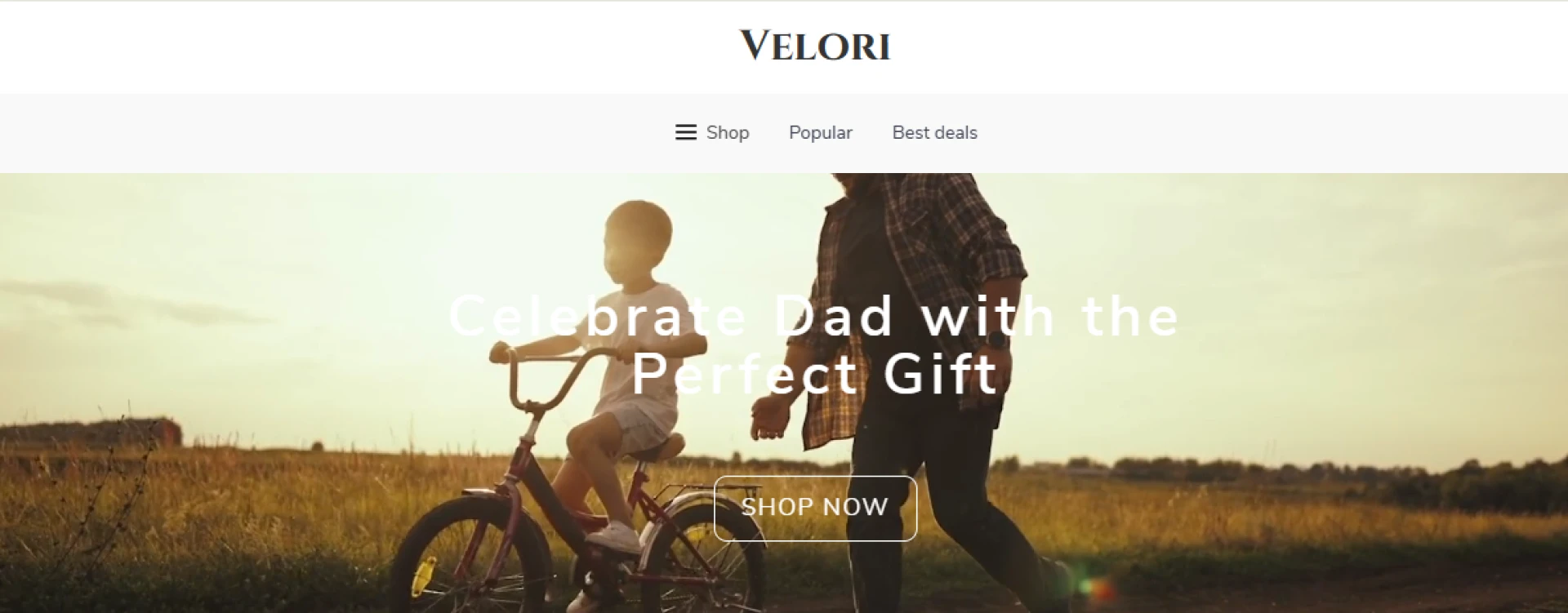  Exquisite Arrivals From Velori Become The Pinnacle Of Online Shopping 