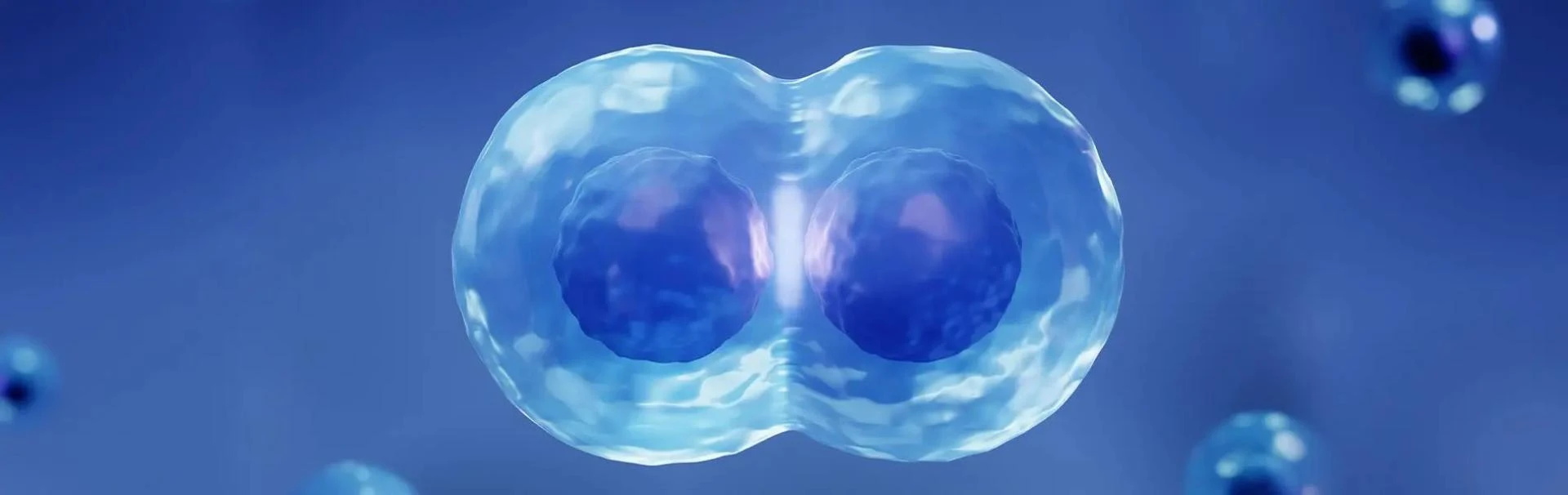 All You Need To Know About Mesenchymal Stem Cells (MSC’s) & Its Clinical Applications