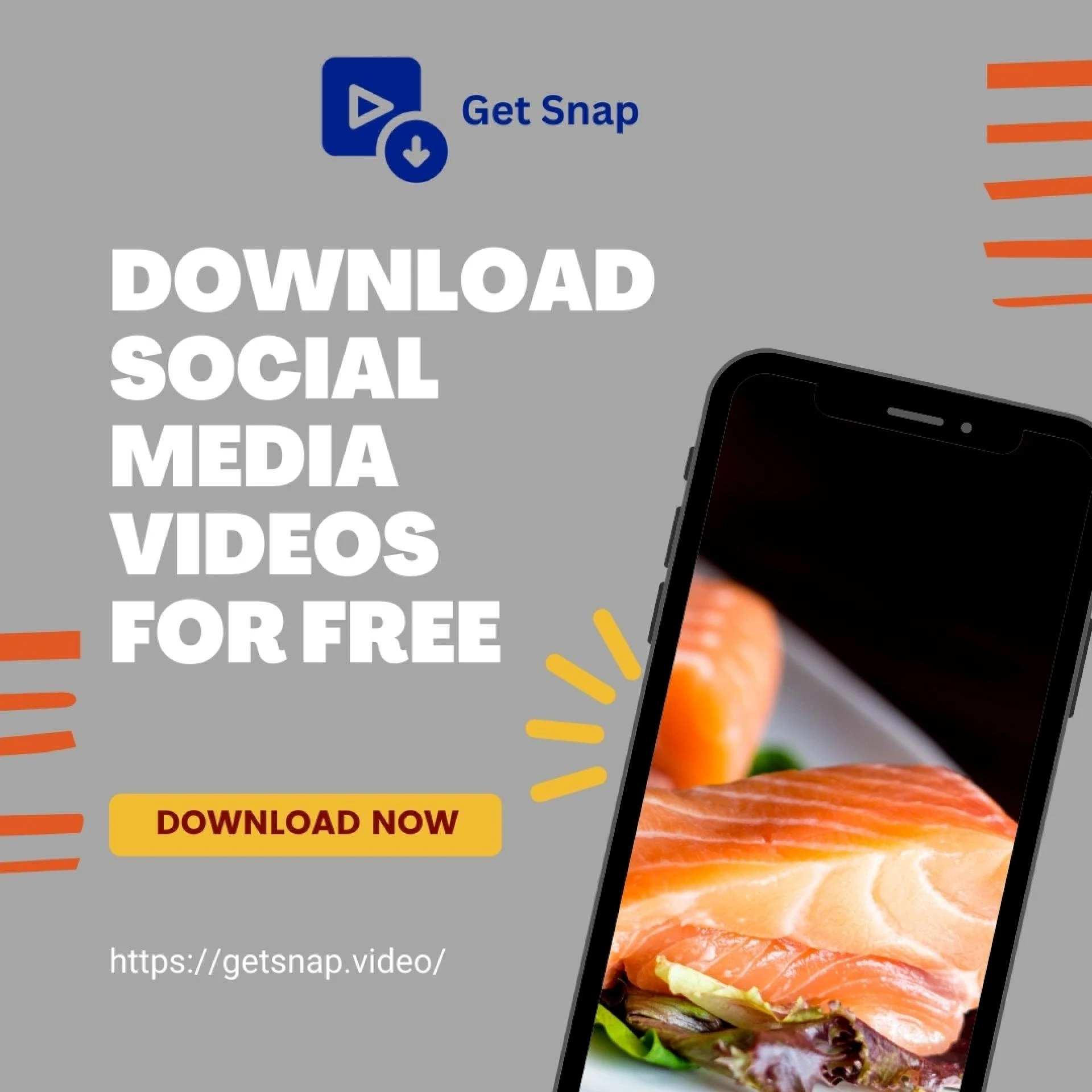Download Videos from Social Media