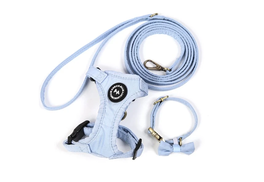 The Perfect Blend of Style and Safety with Personalized Blue Cat Accessories