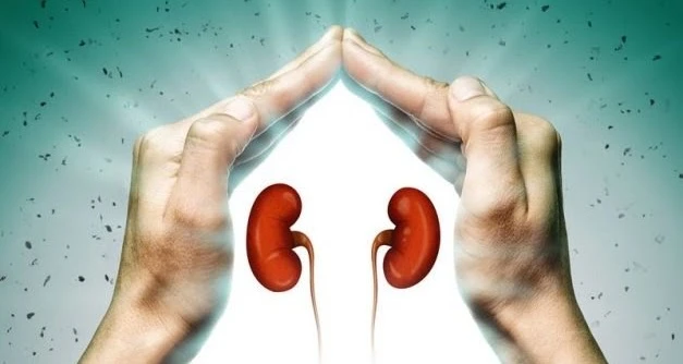 Creating Miracles Through Media: How One Story Can Save a Life