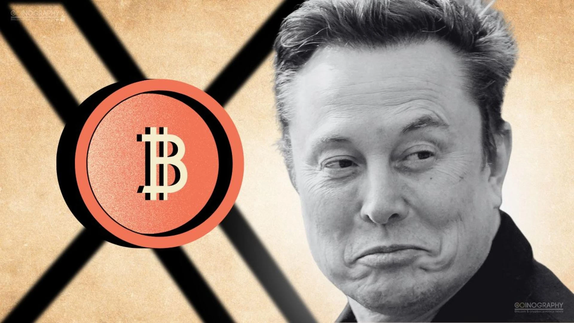 Trending Meme Coin Prices, New Launches & Viral Community Trends – May 2025 Update