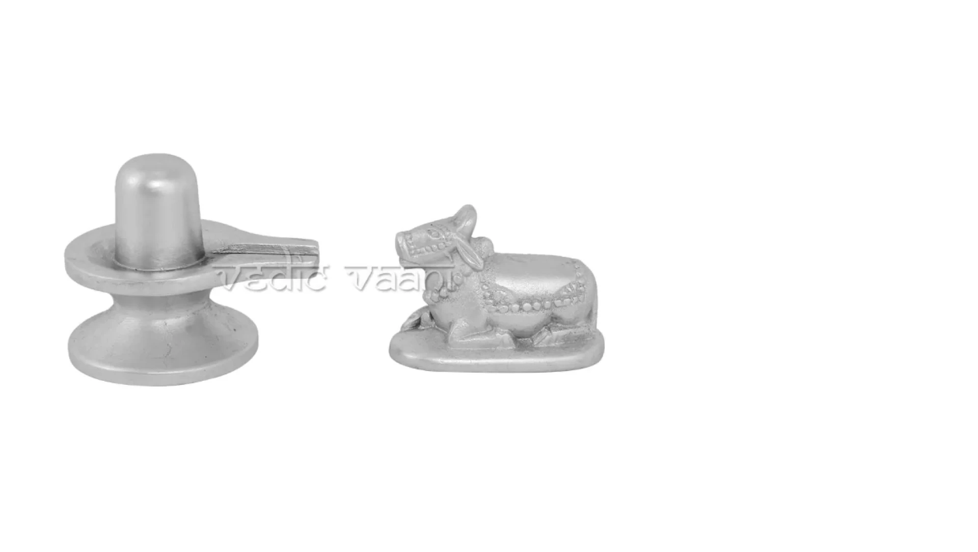 Shivling In Parad (Mercury) - Pooja Items, Puja Services Online