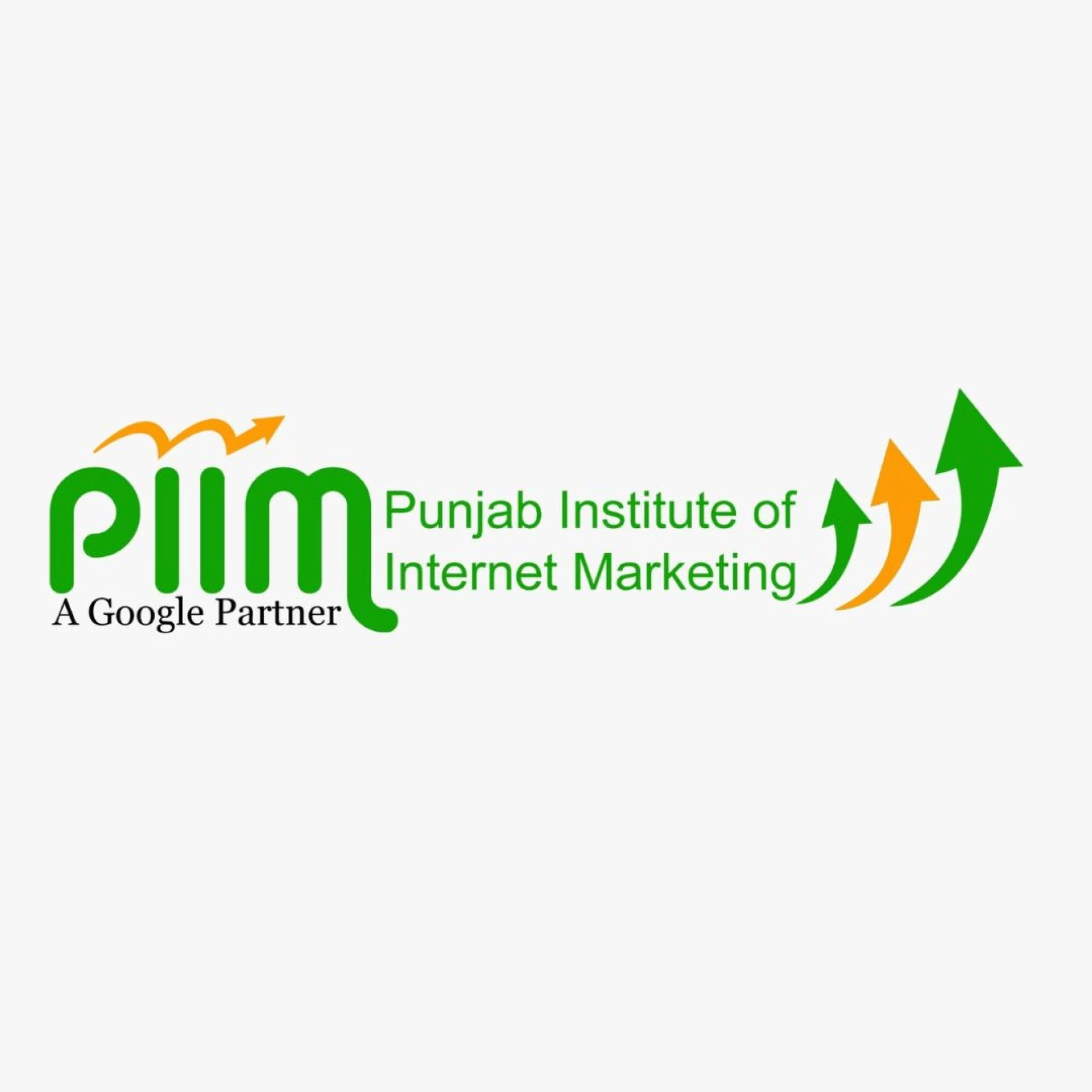 Learn From Home: PIIM’s Digital Marketing Classes in Patiala