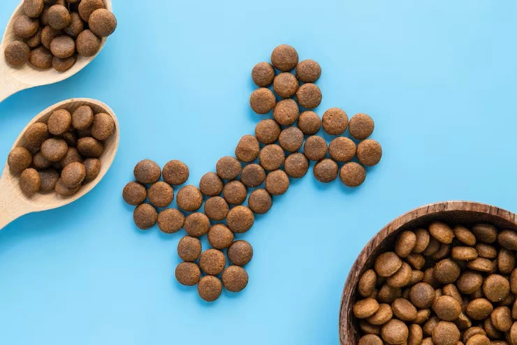 Royal Canin Dog Food Can Improve Your Pet’s Lifestyle