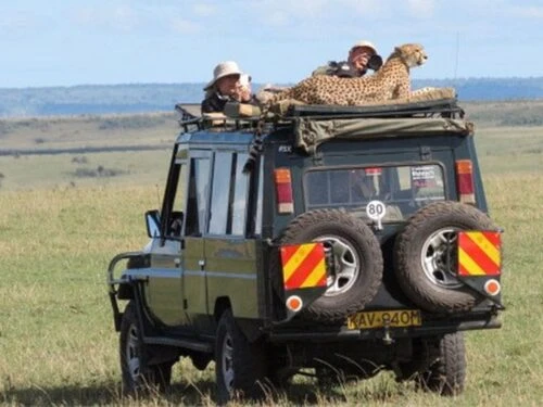 Witness Nature’s Wonder in Amboseli National Park – Wildlife & Birdlife Galore