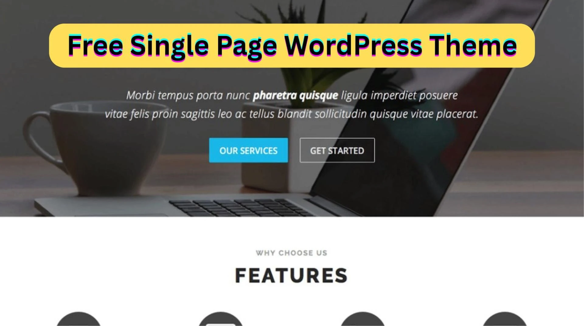 Searching for a Free Single Page WordPress Theme That Stands Out?