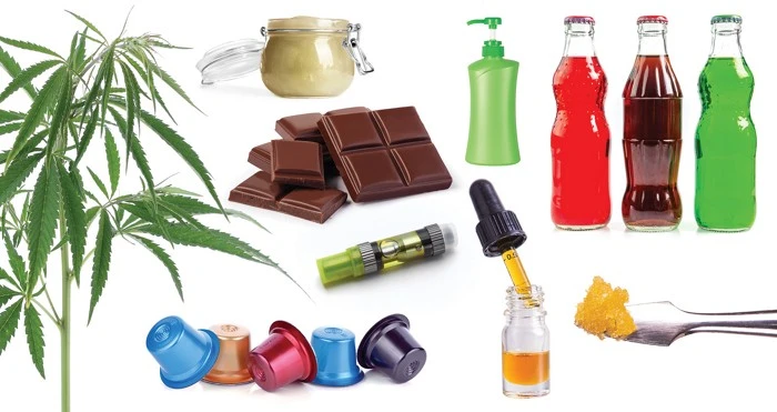 Types of Recreational Cannabis: A Complete Guide for Every User