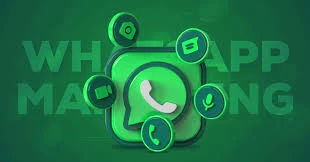 Best Guide to WhatsApp Marketing Campaigns in India  Grow Your Business with DGTLmart Technologies