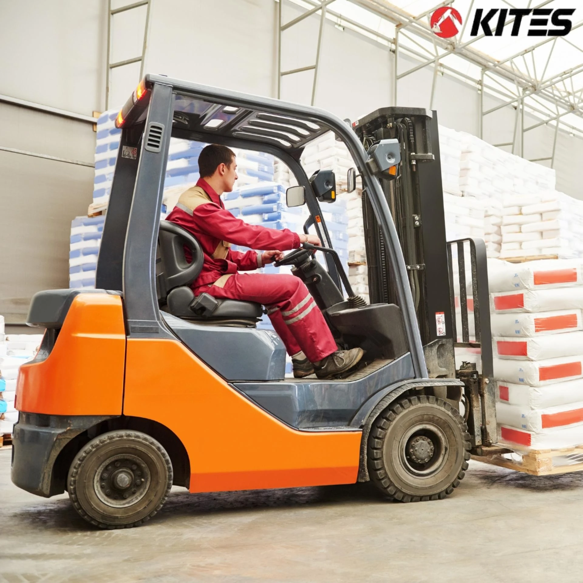 Bulk forklift rental discounts
