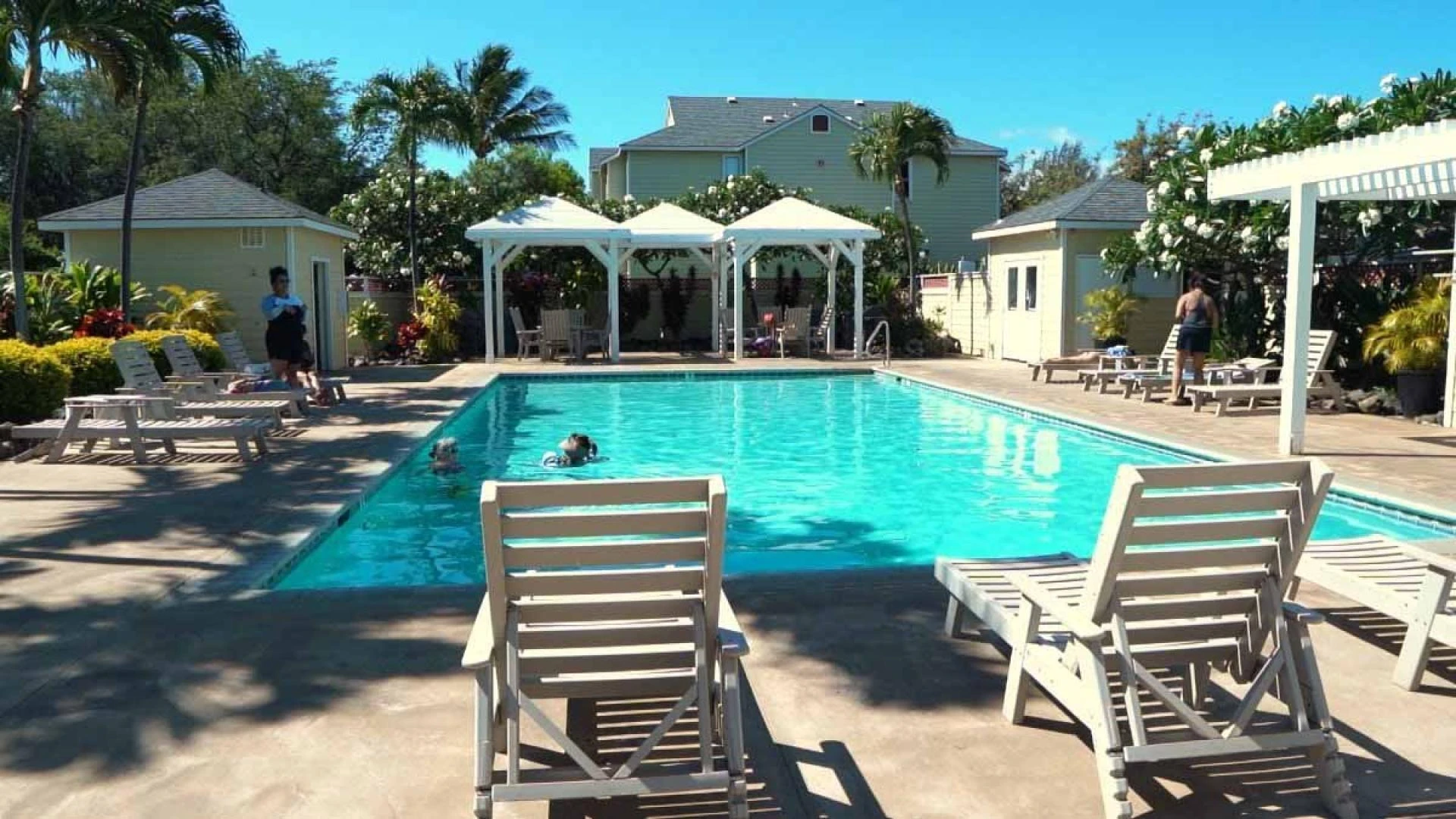 What to Know About Buying Land on the Big Island