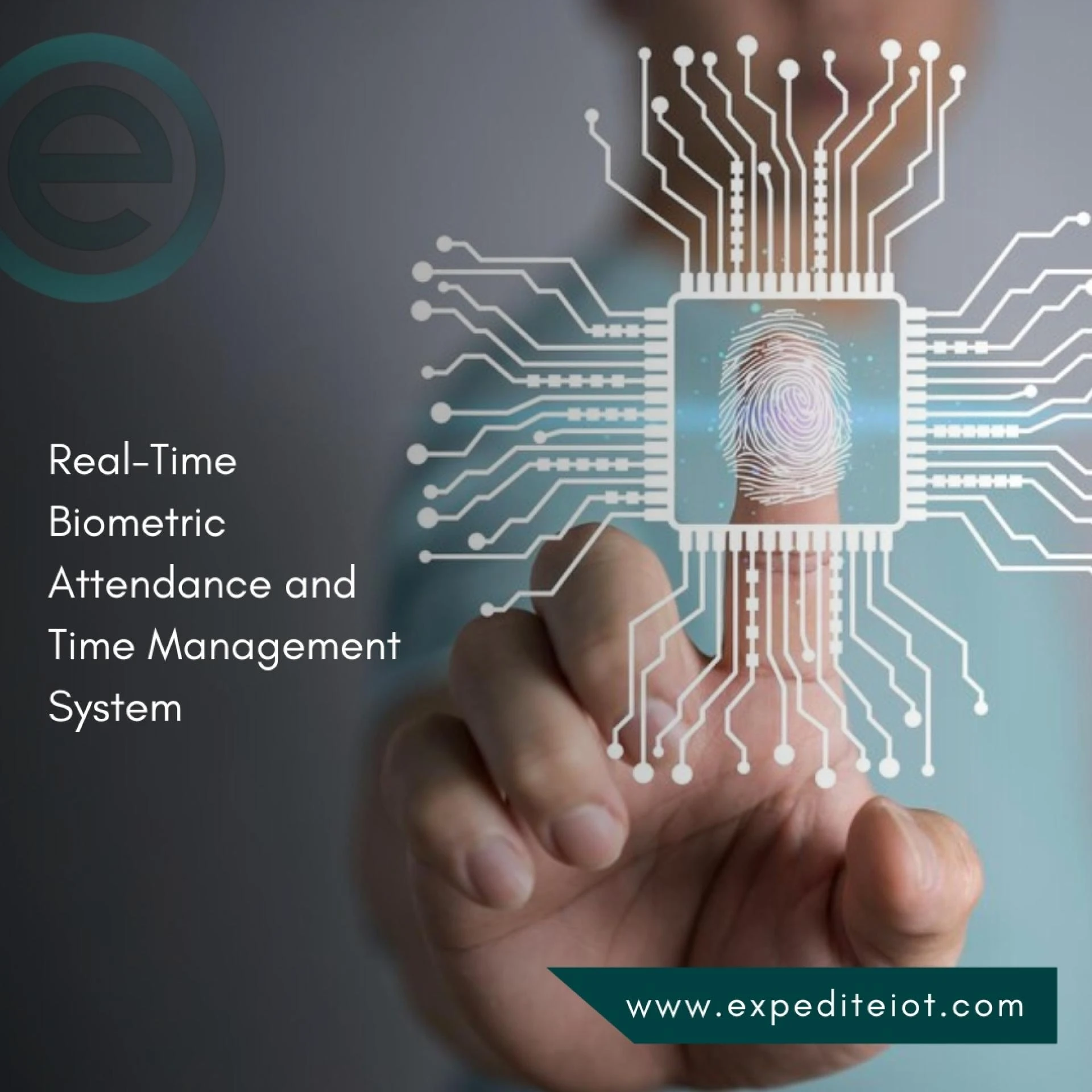 Time Attendance in the Education Sector in Qatar