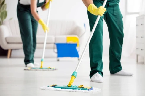 Clean Arrival – Portland Cleaners for a Spotless Home