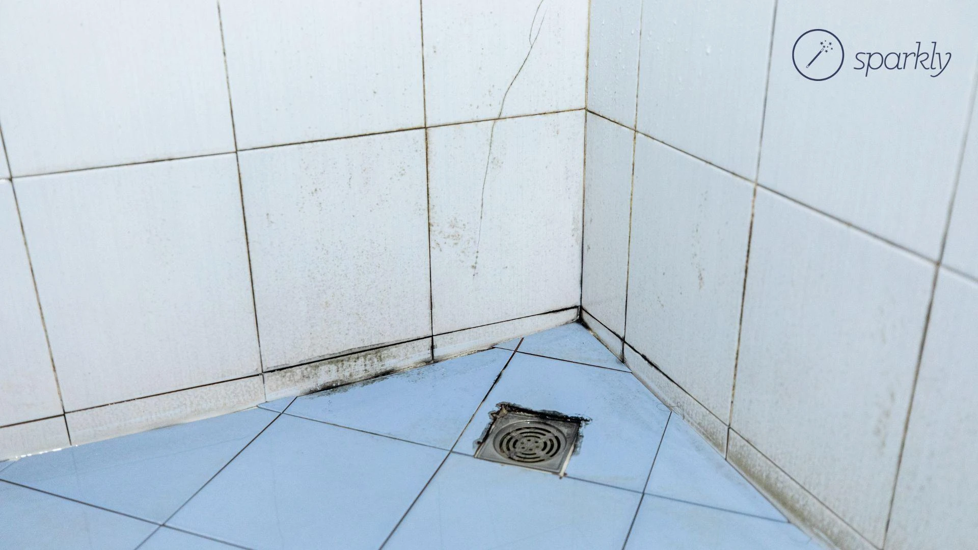Expert Bathroom Mold Cleaning Service – Safe, Thorough & Affordable