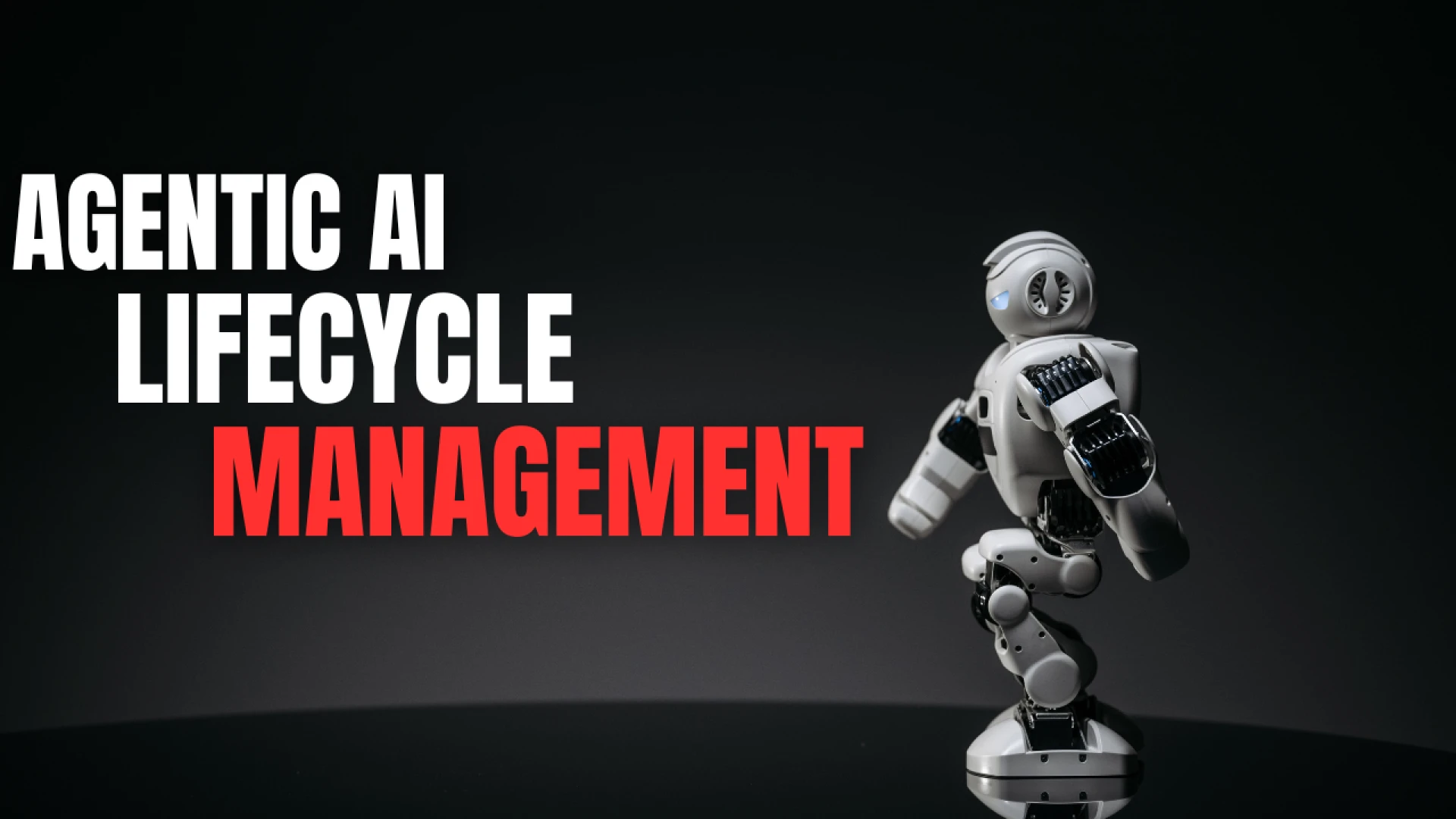 Agentic AI Lifecycle Management